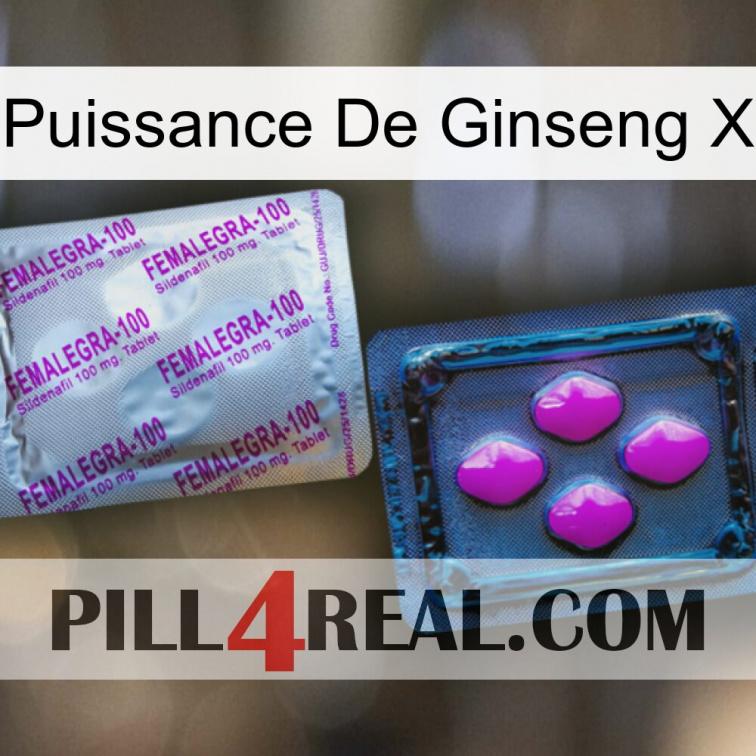 Ginseng Power X 37